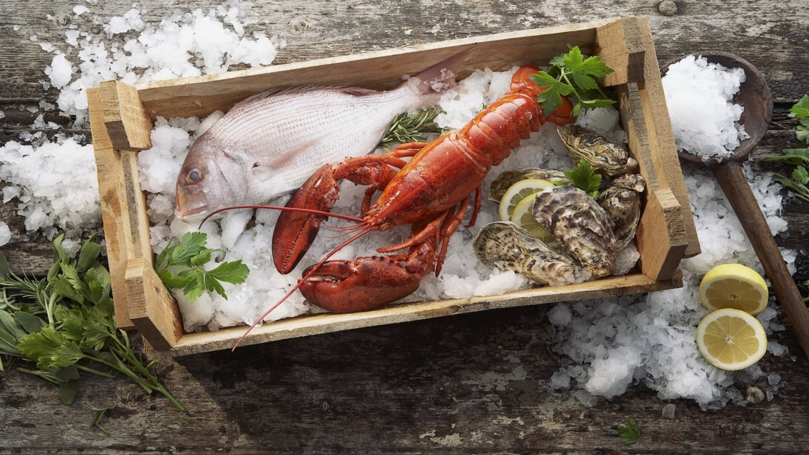 ХОЧУ КУПИТЬ МОРЕПРОДУКТЫ В АСТАНЕ