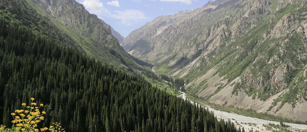 Chon-Kemin Valley, 150 Kilometers from Bishkek: What to See and Where to Stay