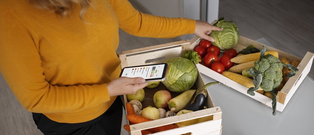 grocery-delivery-services-in-samarkand-to-save-you-time