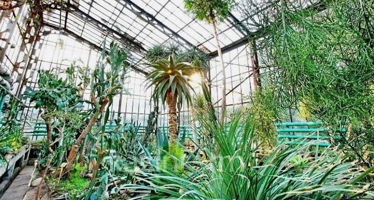 glavnyy-botanicheskiy-sad-v-almaty-otkryvaetsya-posle-rekonstrukcii