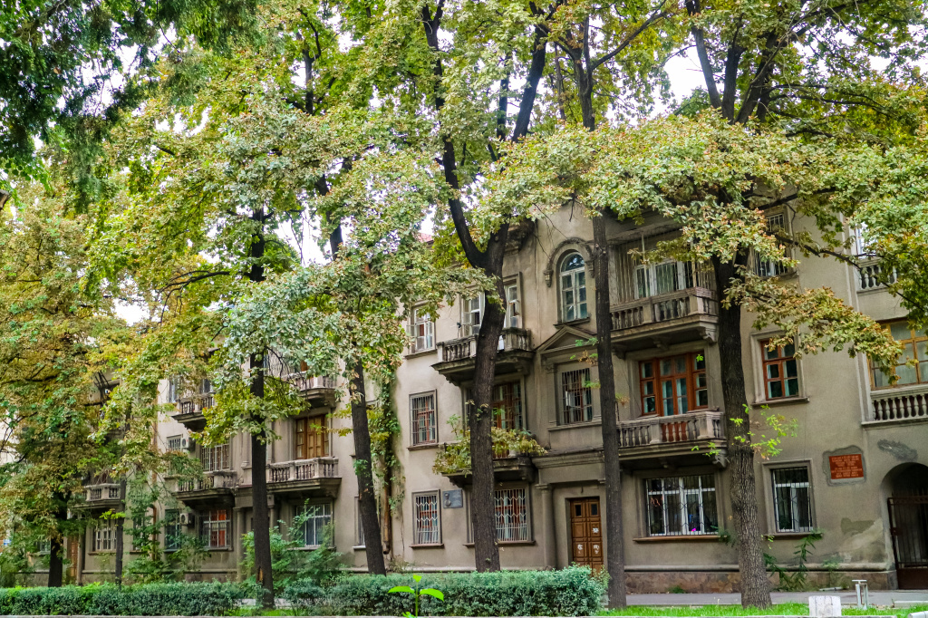Бишкек damir-samatkulov-QDj8WgjEGPQ-unsplash (1).jpg