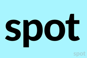 spot spot