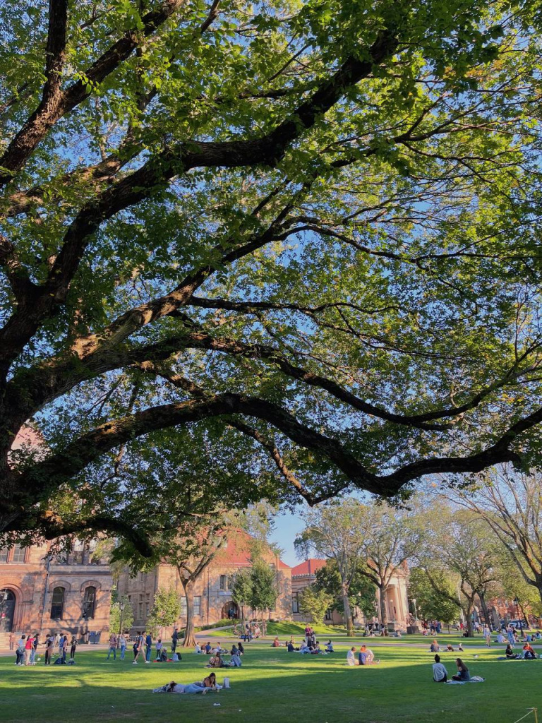 Brown photo5436173839676585727.jpg