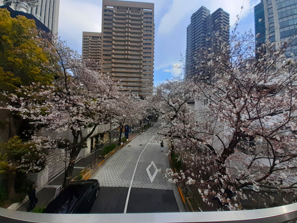 japan(2).jpg japan(2).jpg