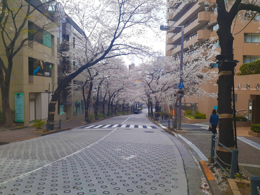 japan(1).jpg japan(1).jpg