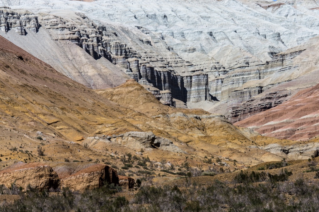 _47R4683-2.jpg _47R4683-2.jpg