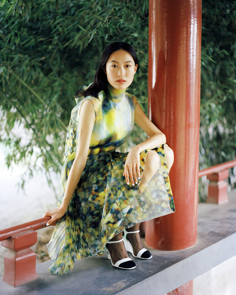Shu Pei (1).jpg Shu Pei (1).jpg