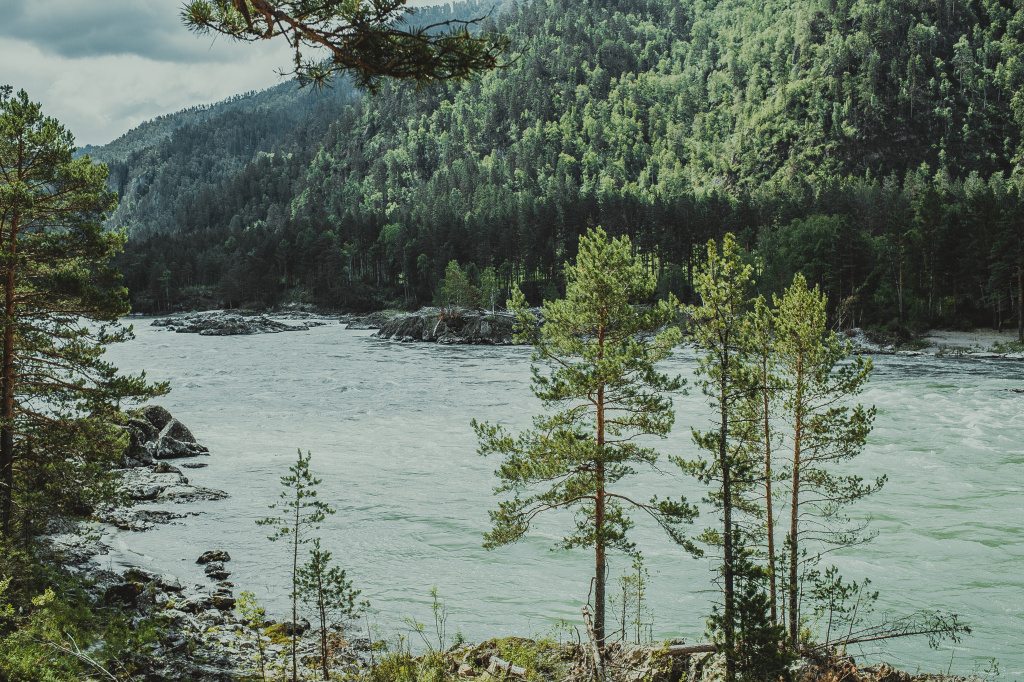 sergei-wingman-iDXyA6W6LGg-unsplash.jpg sergei-wingman-iDXyA6W6LGg-unsplash.jpg