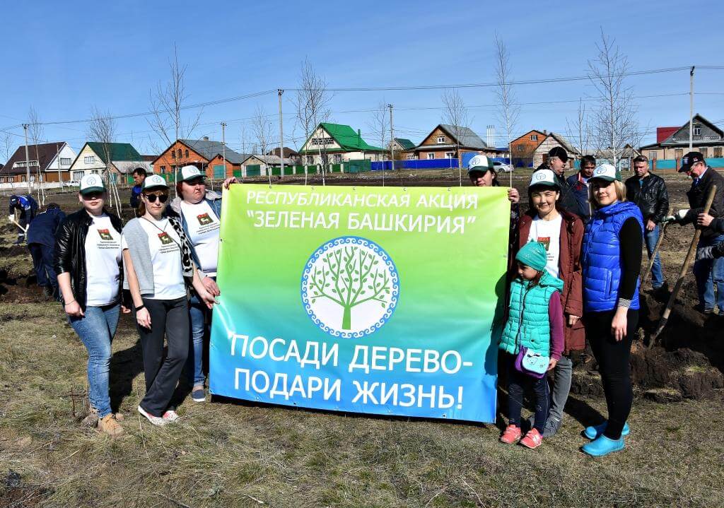 зеленая башкирия (2).jpg зеленая башкирия (2).jpg
