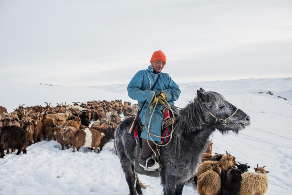 Winter in Mongolia.jpg Winter in Mongolia.jpg