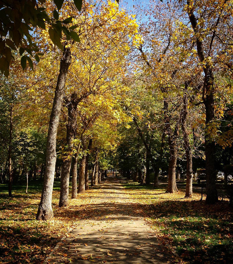 park gandy.jpg park gandy.jpg