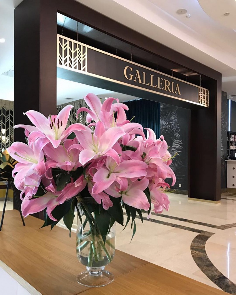 Galleria1.jpg Galleria1.jpg