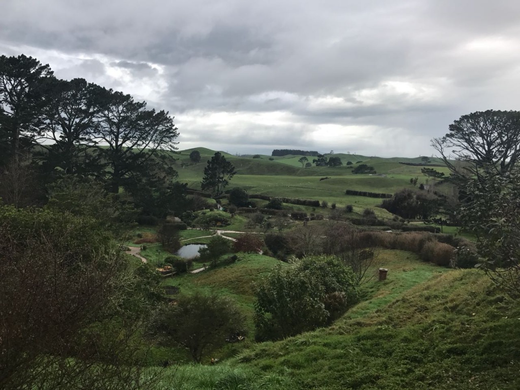 11111.jpeg 11111.jpeg