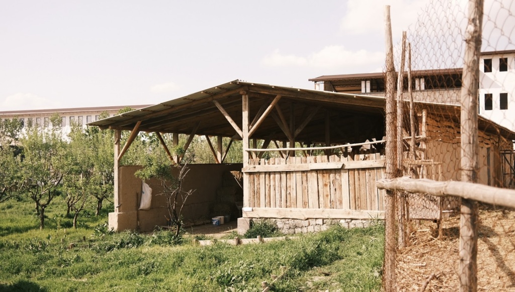 kosafarm где отдохнуть в ташкенте