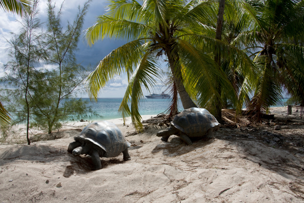 Aldabra Atoll, Seychelles.jpg Aldabra Atoll, Seychelles.jpg