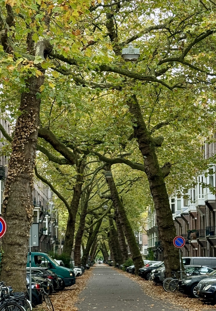 Amsterdam Amsterdam