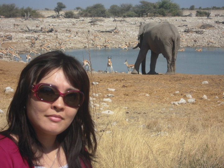 Etosha.jpg Etosha.jpg