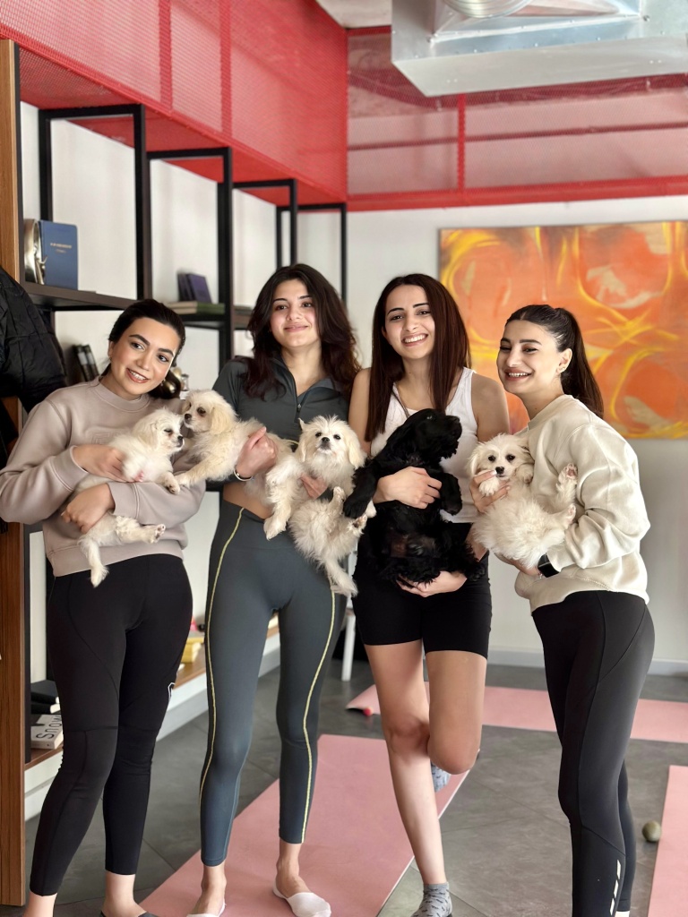 puppy flow baku