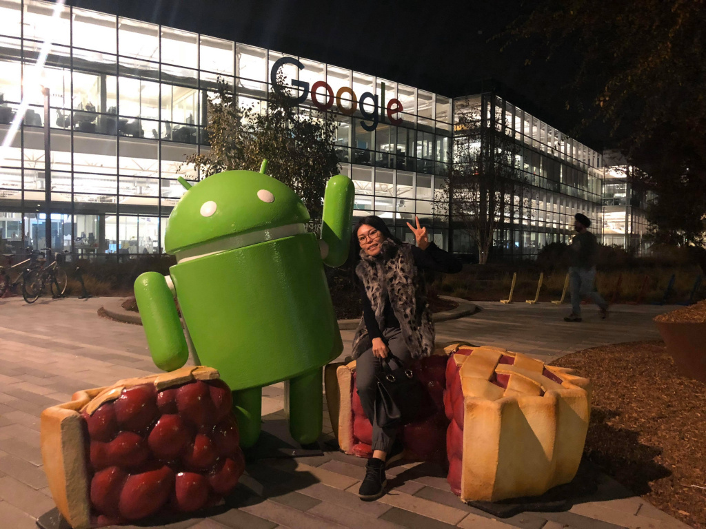 АҚШ-қа көшіп, Microsoft-қа бағдарламашы болған Қырғызстандық қайсар қыз