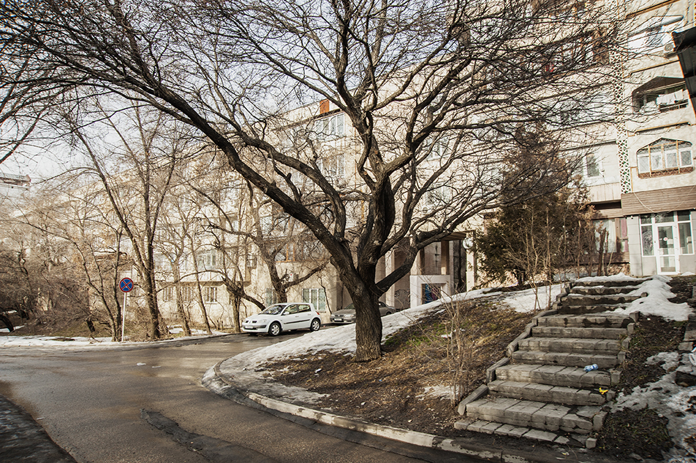 пересеч аль фараби весновка.jpg пересеч аль фараби весновка.jpg