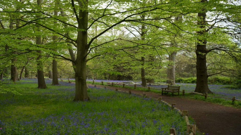 Kewgardens.jpg Kewgardens.jpg