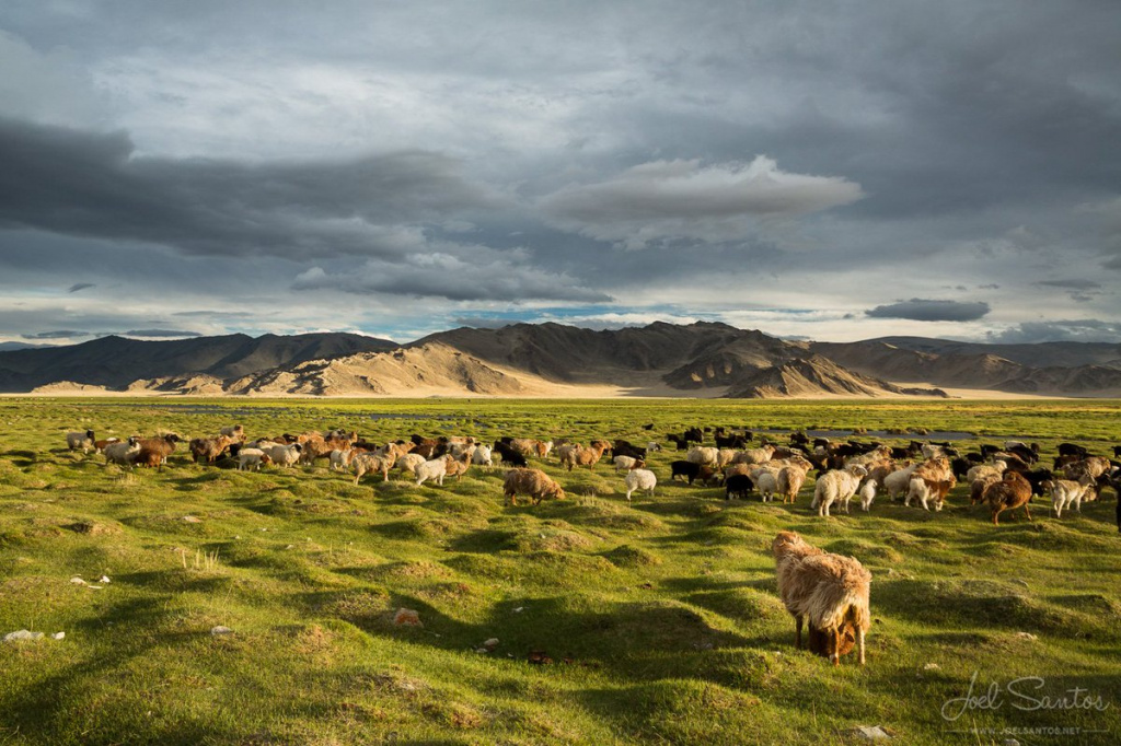 Summer in Mongolia.jpg Summer in Mongolia.jpg