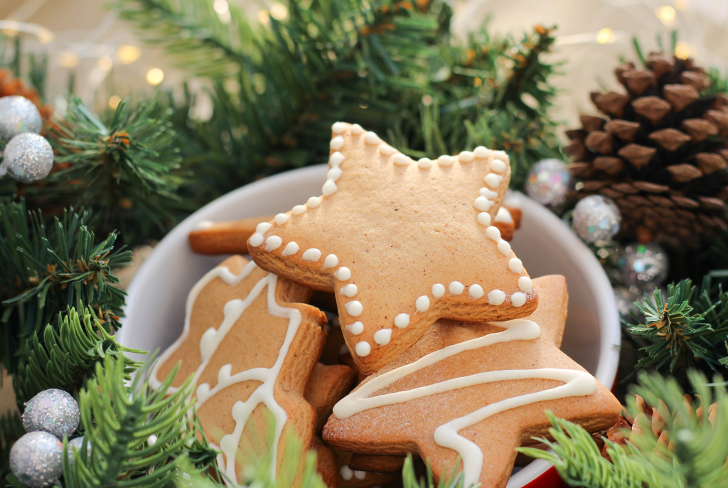 gingerbread cookies ksenia-yakovleva-RroOSK1Bq3U-unsplash.jpg
