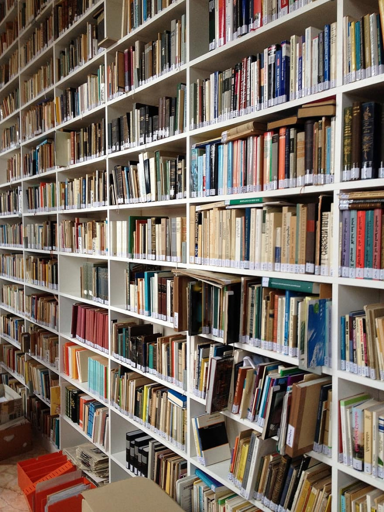 book-shelf-library-books-read-education-bookshelf-bookcase-study.jpg book-shelf-library-books-read-education-bookshelf-bookcase-study.jpg