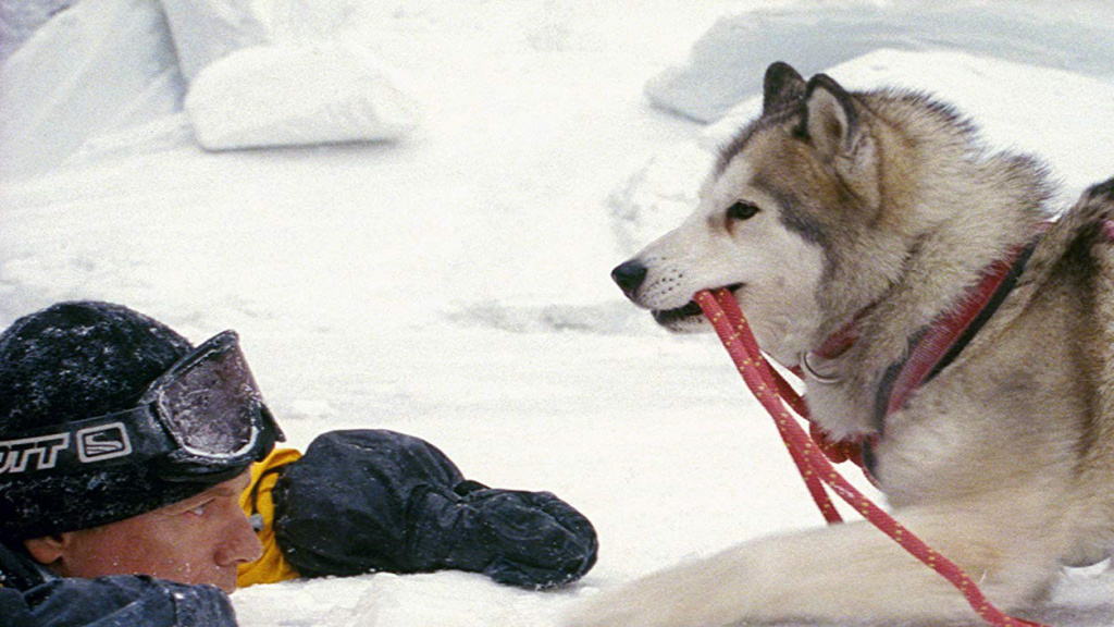 Eight_Below.jpg Eight_Below.jpg