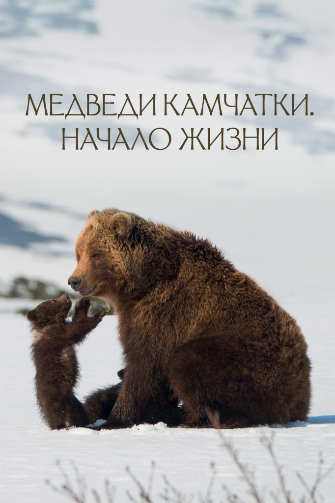 Медведи Камчатки_iTunes_poster_RUS.png Медведи Камчатки_iTunes_poster_RUS.png