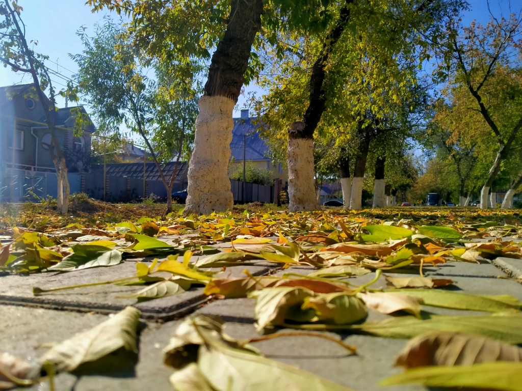 Kostanay Kostanay — a secluded northern city