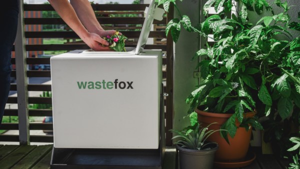 wastefox.jpg wastefox.jpg