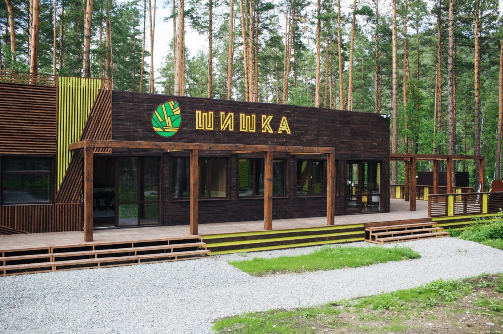 шишка2.jpg шишка2.jpg
