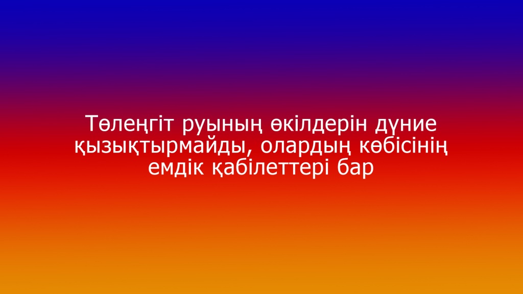 6.jpg 6.jpg