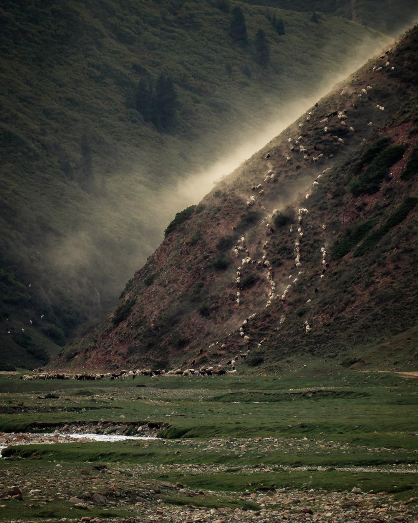 Jyrgalan valley.jpg Jyrgalan valley.jpg