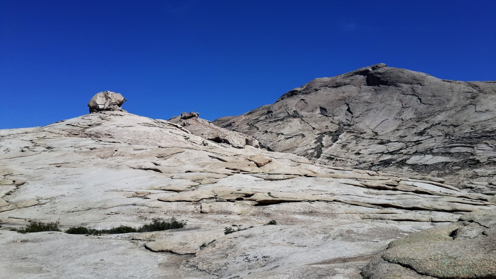 20160521_134538.jpg