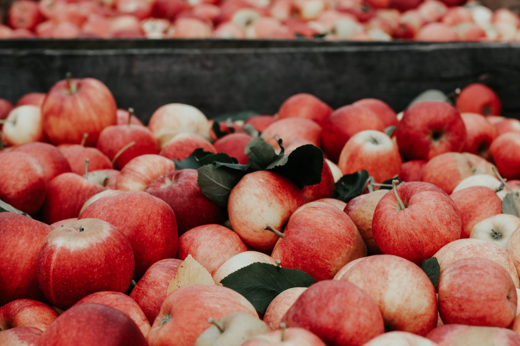 applemain.jpg applemain.jpg