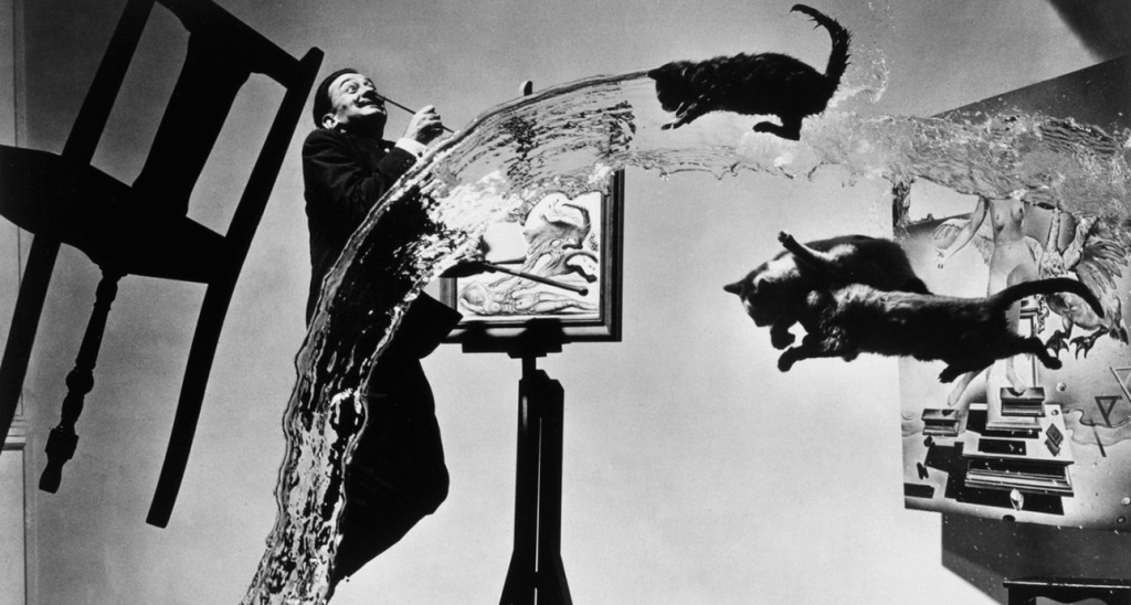 Dali фотография Дали с кошками