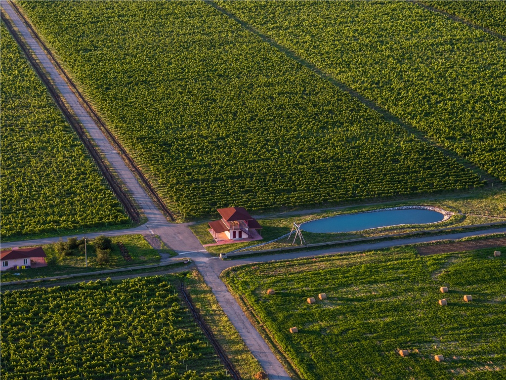 DJI_0089.jpg DJI_0089.jpg