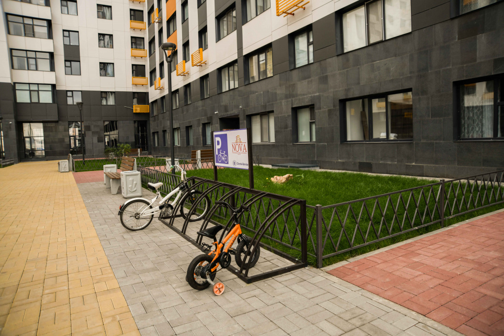 DSC_3842.jpg DSC_3842.jpg