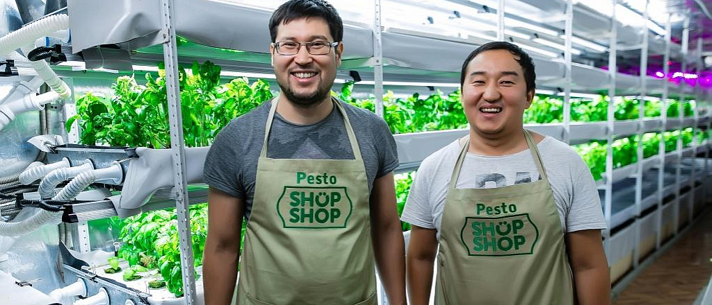kak-druz-ya-postroili-teplicu-s-gidroponikoy-i-gotovyat-sous-pesto-iz-natural-nyh-produktov