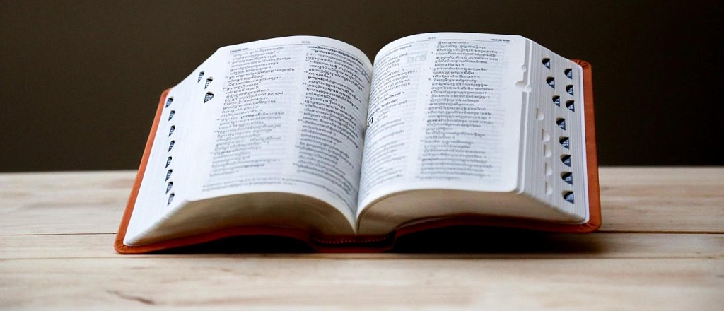 britanskiy-slovar-collins-dictionary-priznal-slovom-goda-ai