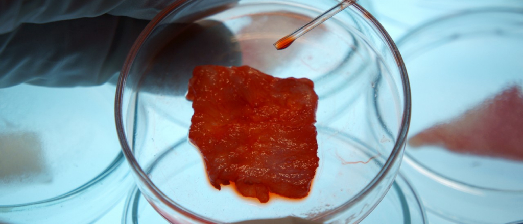 ssha-razreshili-prodazhu-myasa-iz-probirki
