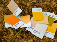 what-colors-are-in-fashion-in-2024