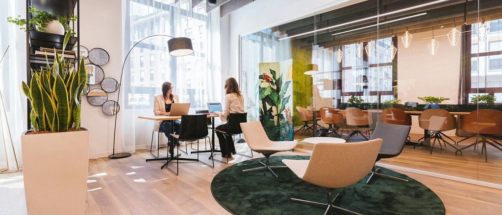 where-to-work-in-dushanbe-if-you-re-a-freelancer-coworking-spaces-and-cozy-cafes