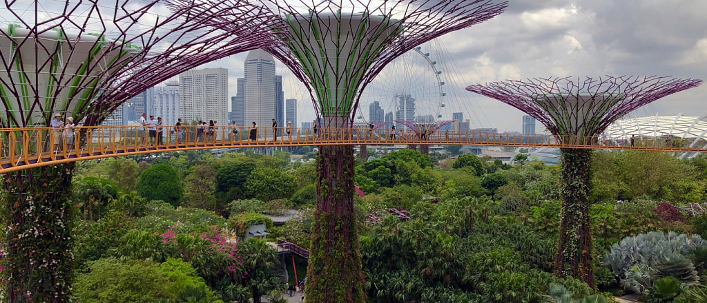 pervye-ekodoma-v-singapure-vvedut-v-ekspluataciyu-uzhe-v-2023-godu