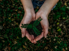 5-successful-eco-projects-in-almaty