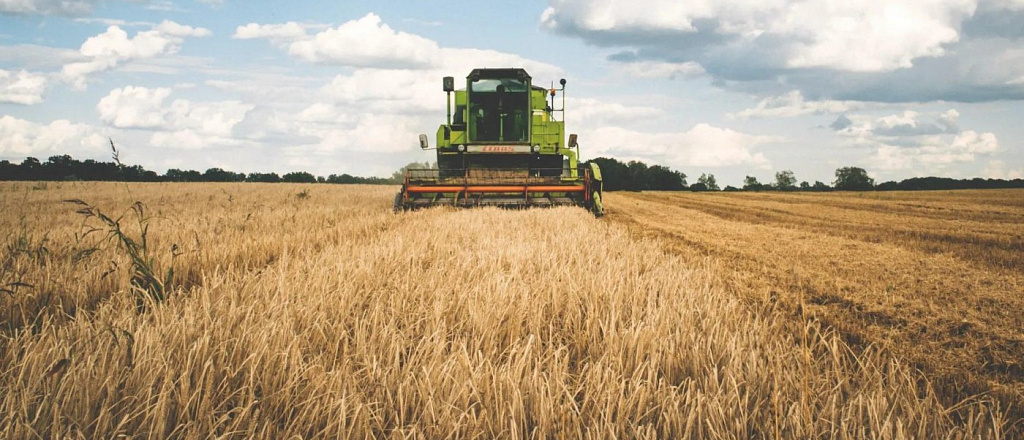 usaid-zapuskaet-proekt-po-razvitiyu-agrobiznesa-v-uzbekistane