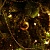 preview-image