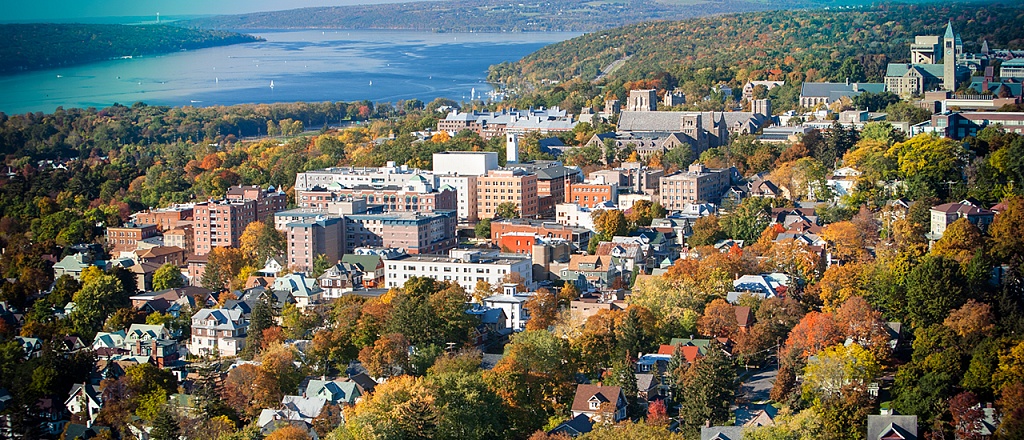 onlayn-kursy-ot-cornell-university-ot-it-do-mediciny